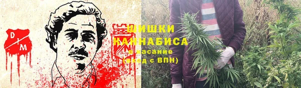 спиды Абаза