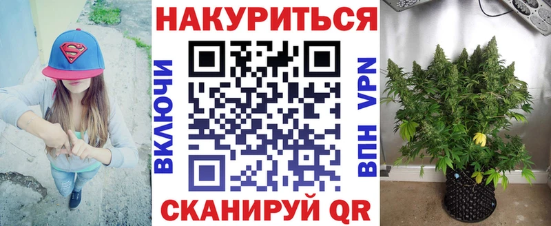 Бошки марихуана Amnesia Цивильск